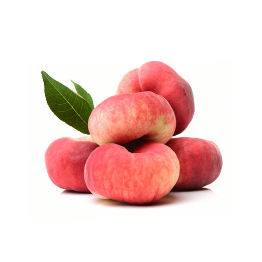 PESCHE SATURNINE