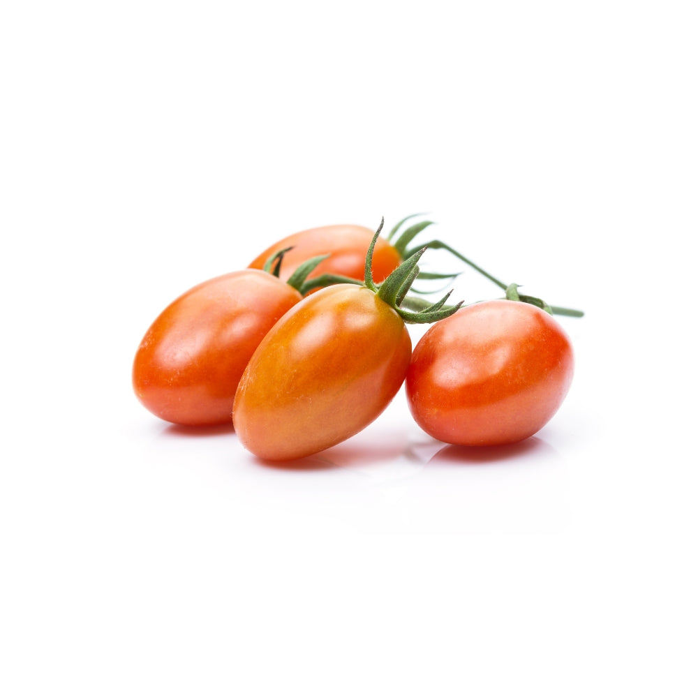 POMODORO OBLUNGO