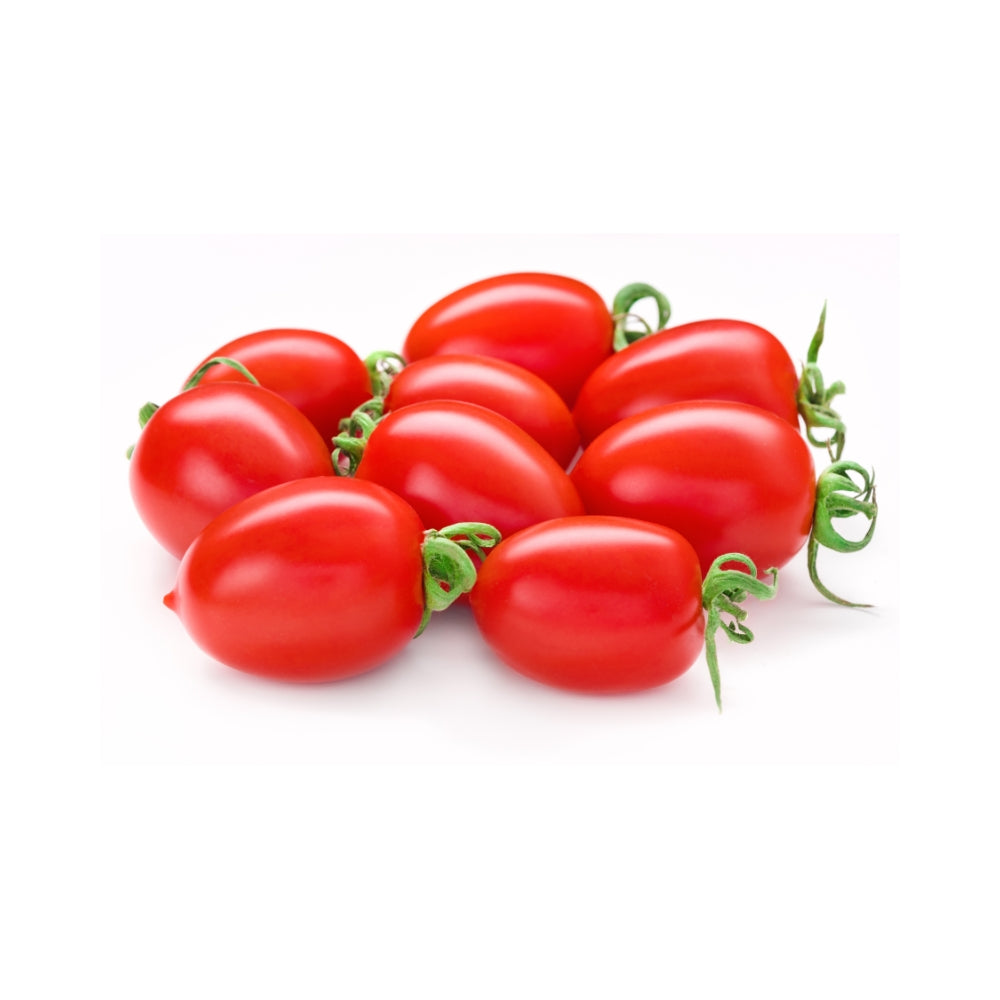 POMODORO PICCADILLY