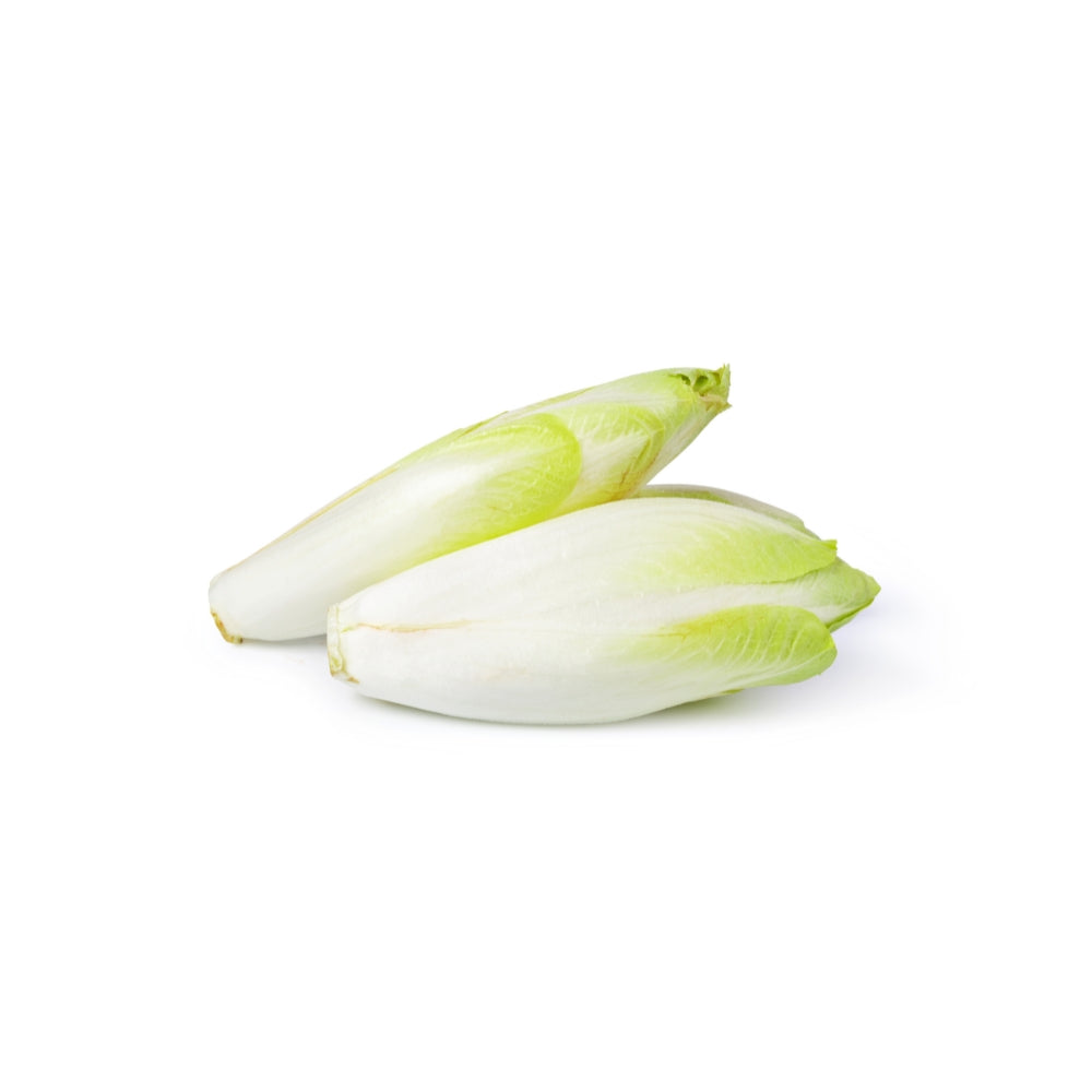 INDIVIA BELGA