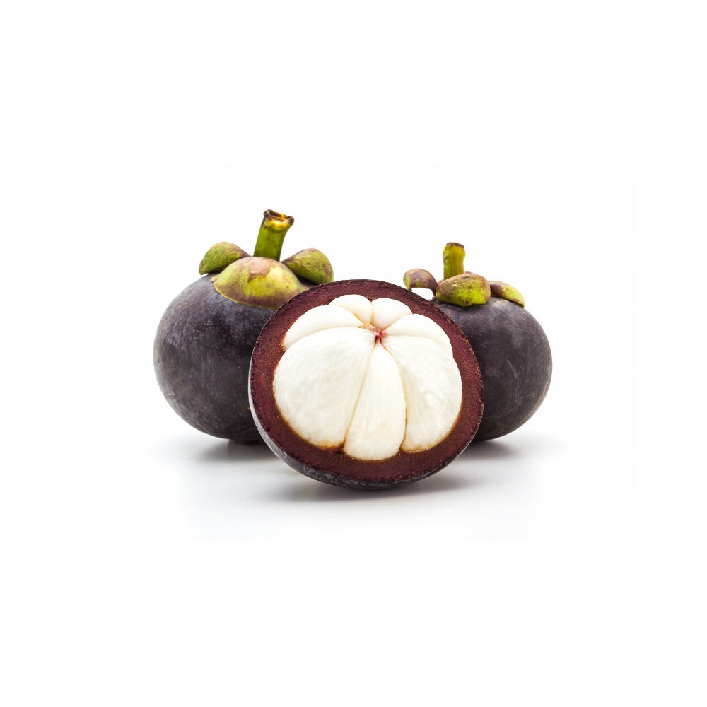 MANGOSTEEN