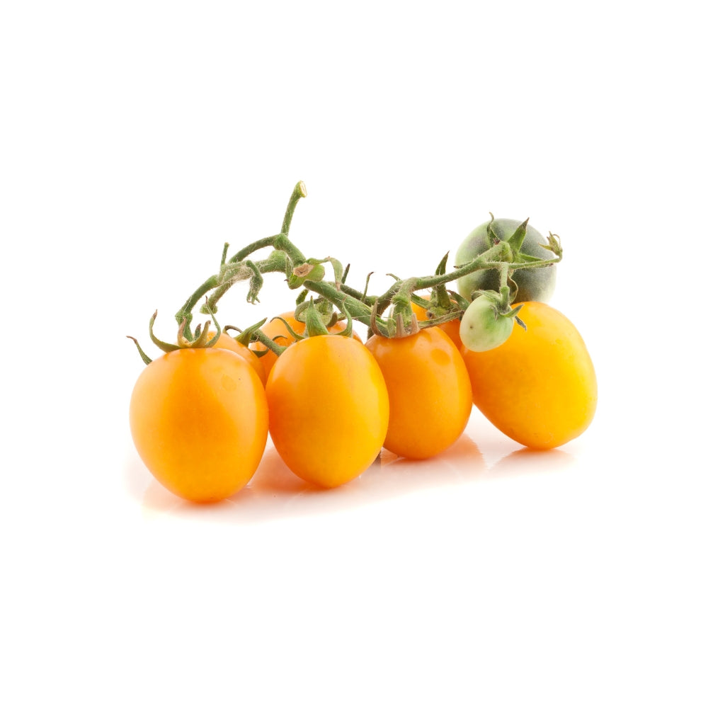 POMODORO DATTERINO GIALLO