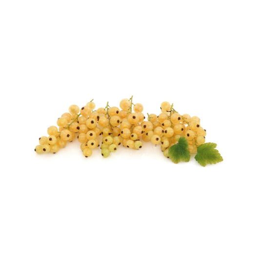 RIBES BIANCO