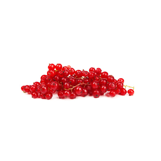 RIBES ROSSO