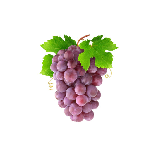 UVA RED GLOBE