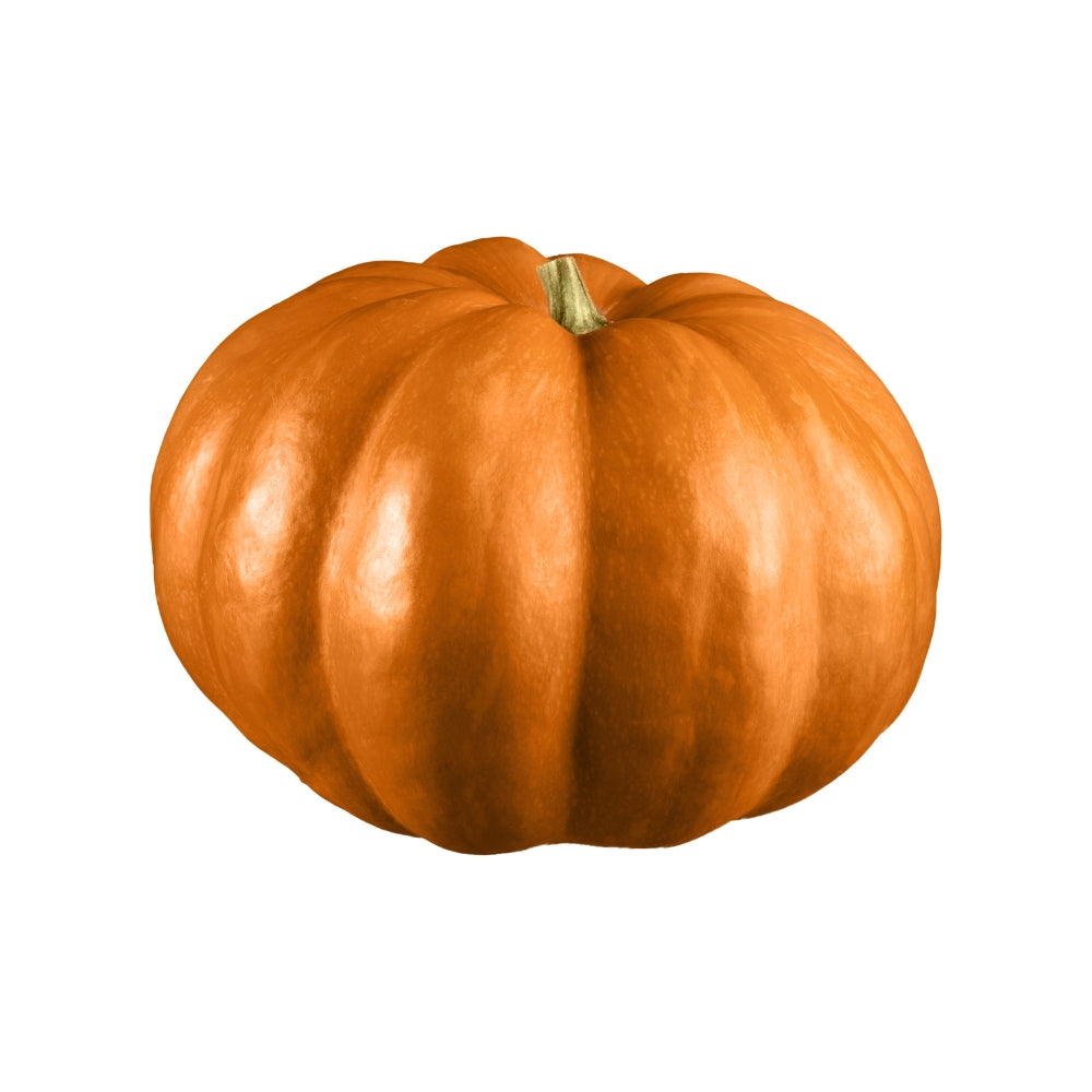 ZUCCA GIALLA