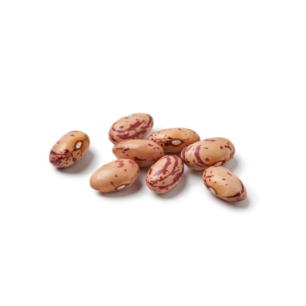 FAGIOLI BORLOTTI SECCHI